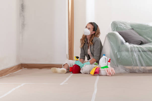 Reliable Commercial Mold Remediation contractor in Nashville, IL by 24 Hour Mold Removal